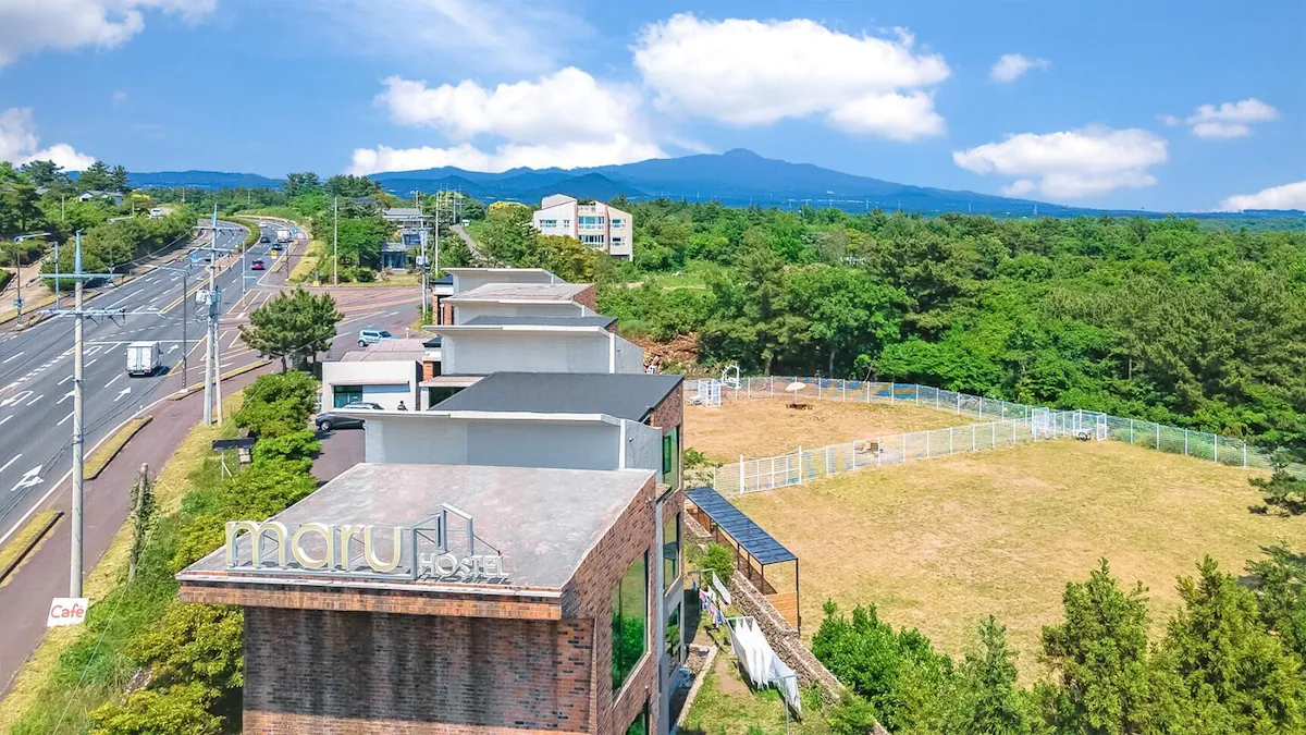 제주 애견동반 호텔 3, 반려견과 함께하는 제주 호캉스