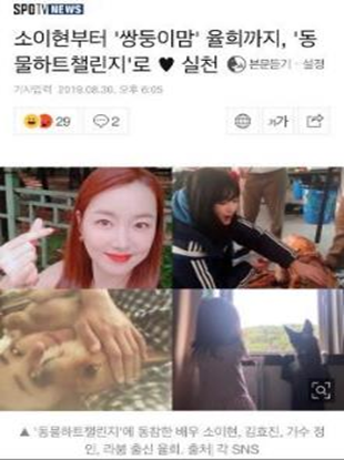 브런치 글 이미지 4