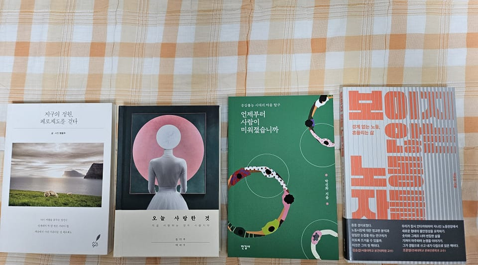 라이브 바카라