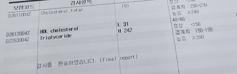 온라인 카지노 게임
