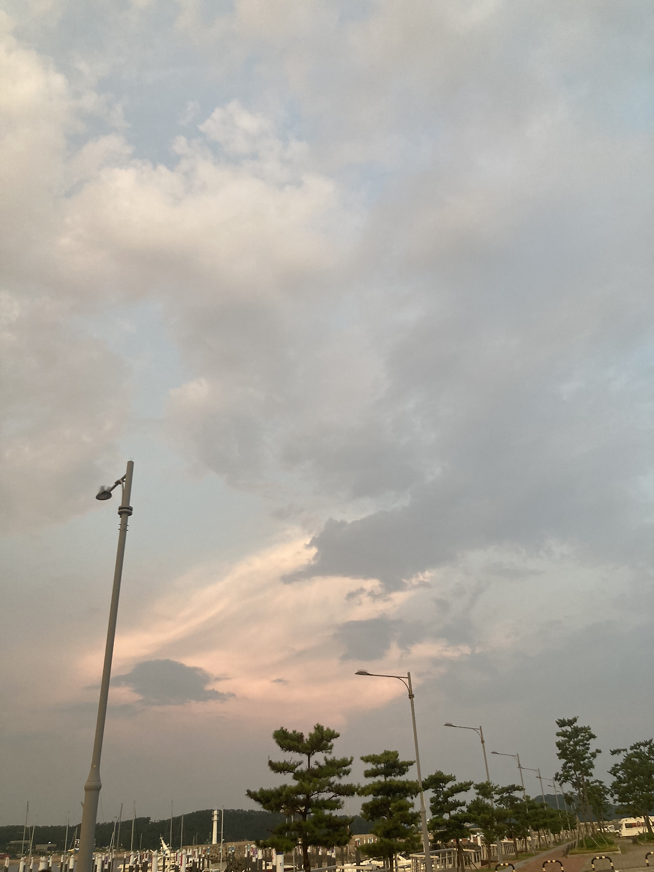 무료 카지노 게임