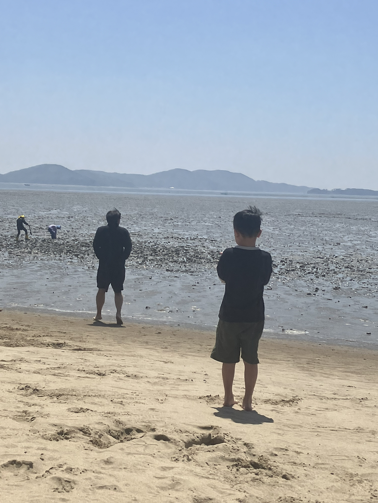 무료 카지노 게임