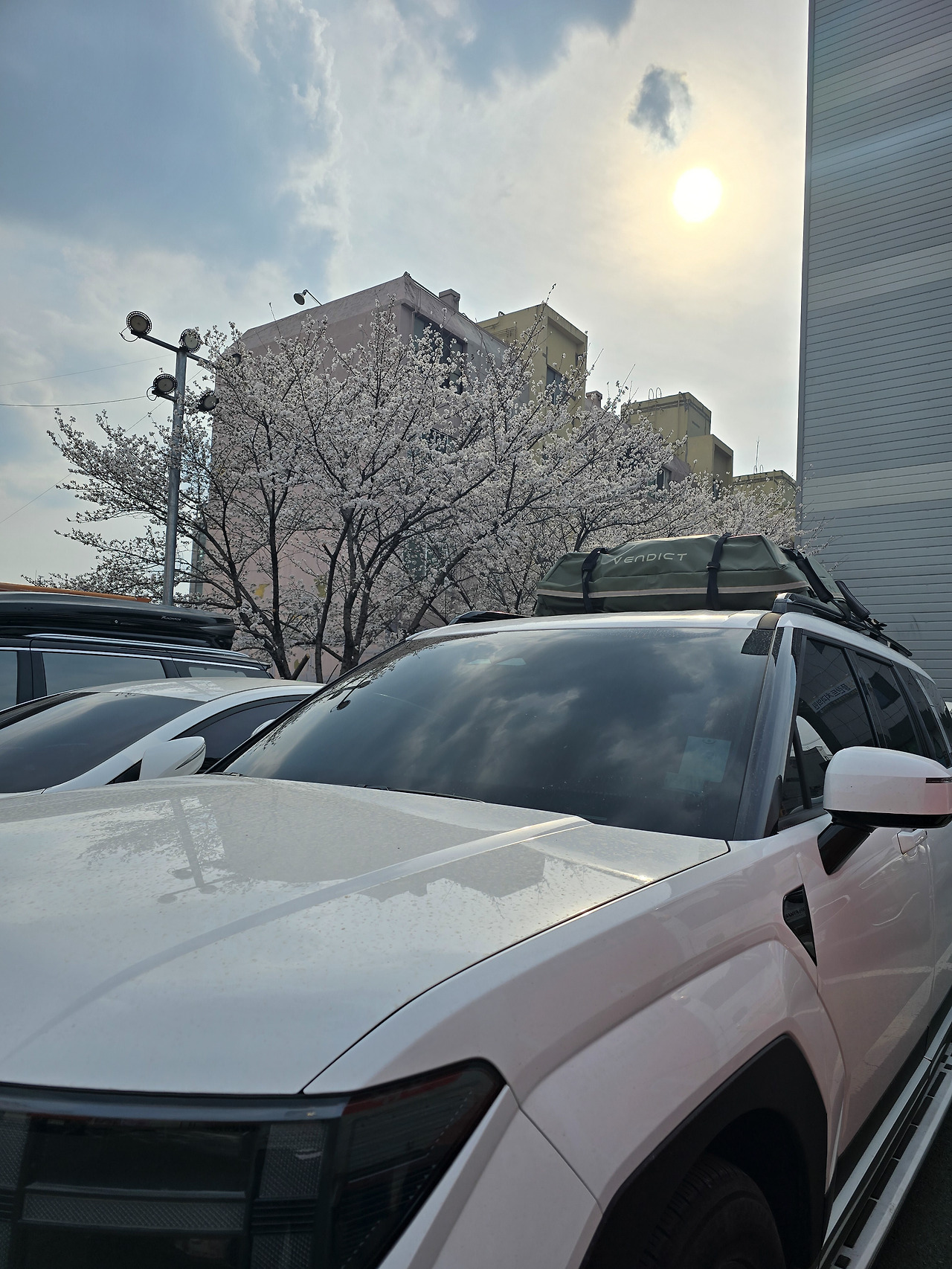 카지노 게임 사이트