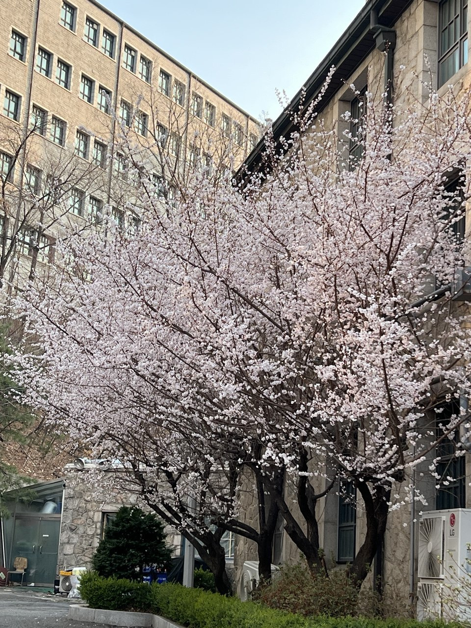 용산을 생각하다