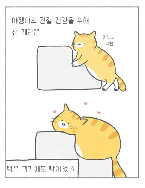 온라인 카지노 게임
