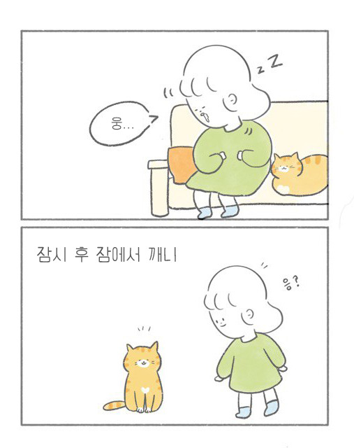 카지노 가입 쿠폰