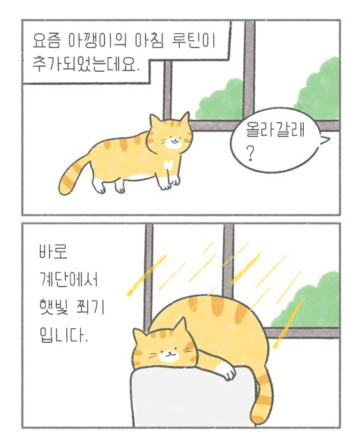 온라인 카지노 게임