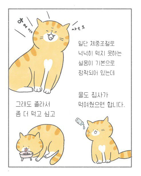 온라인 카지노 게임