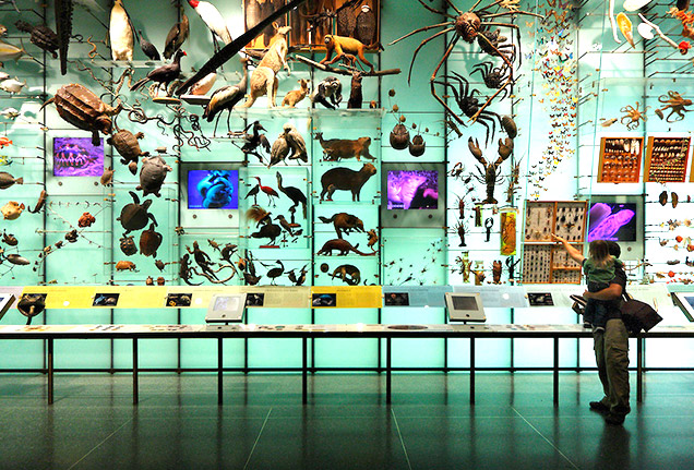 세계 최대 스미스소니언 국립자연사박물관