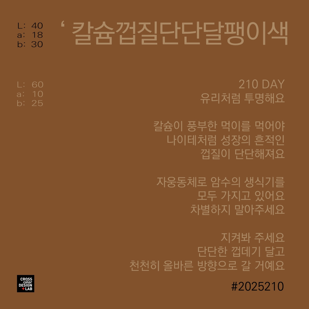 카지노 게임 추천