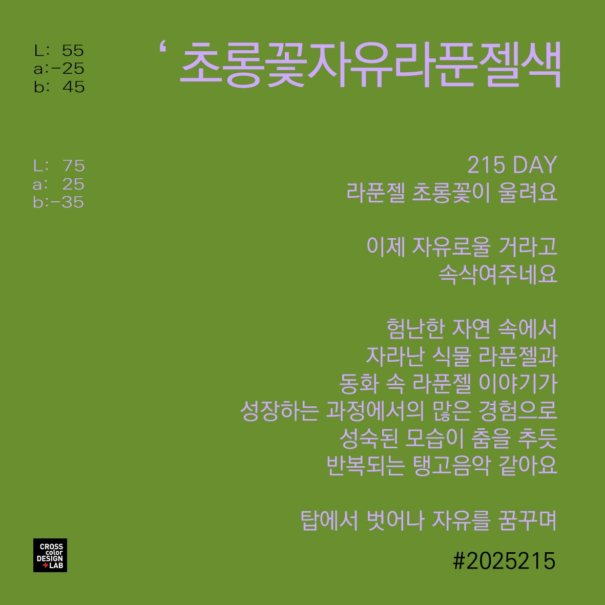 카지노 게임 사이트