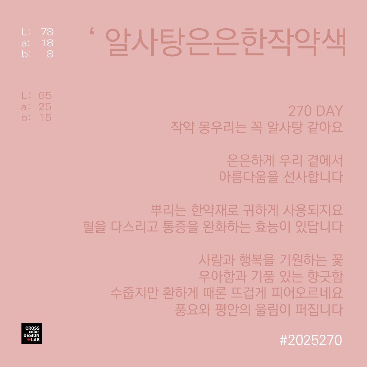 카지노 게임 사이트