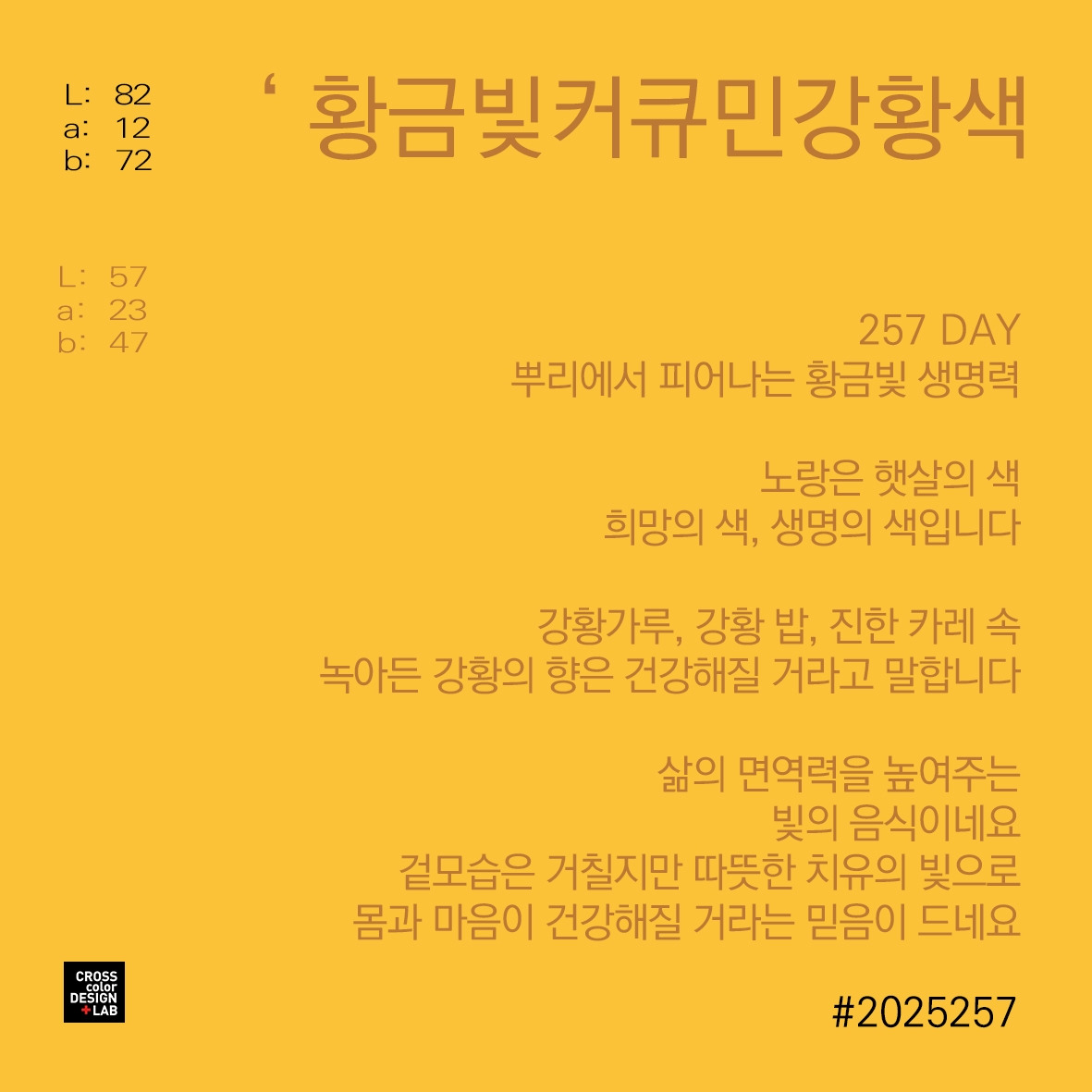온라인 카지노 게임
