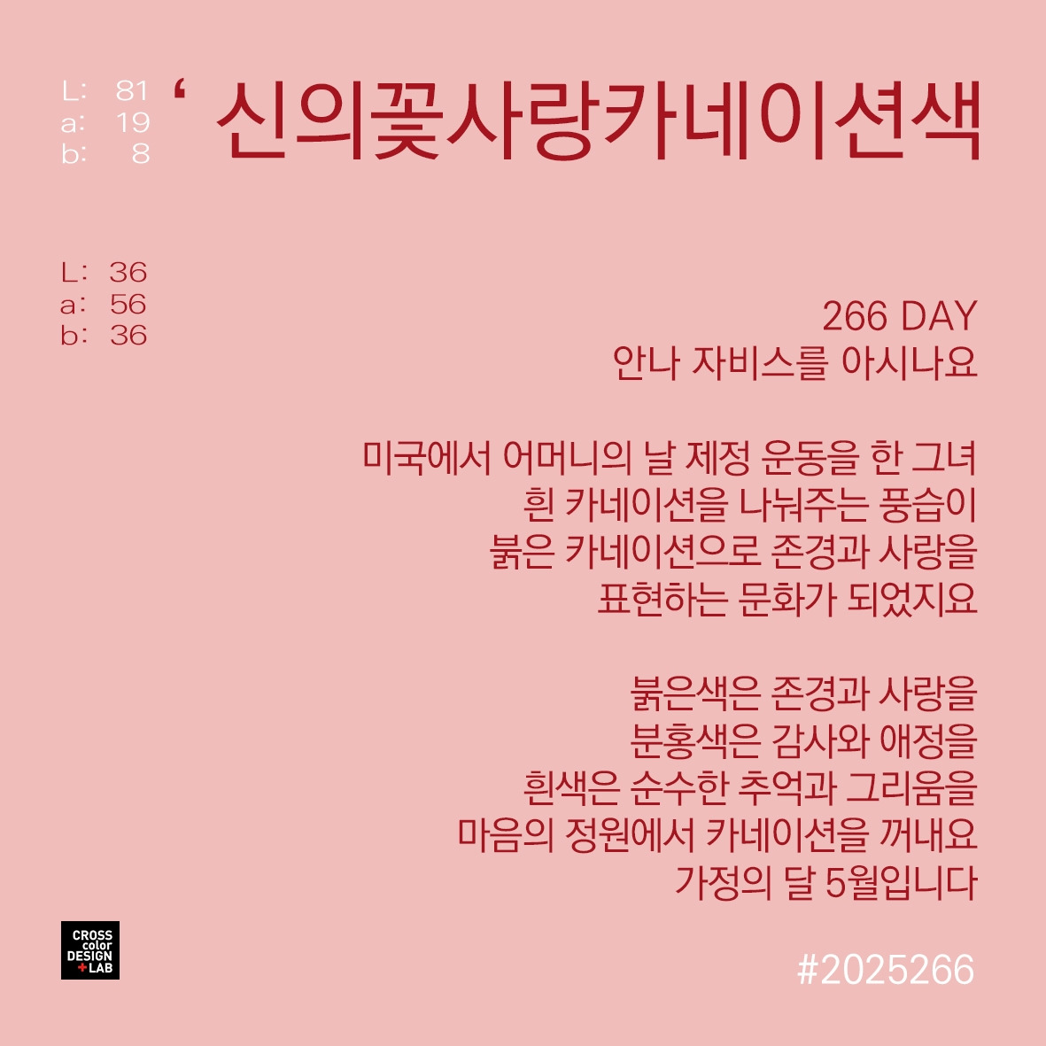 카지노 가입 쿠폰