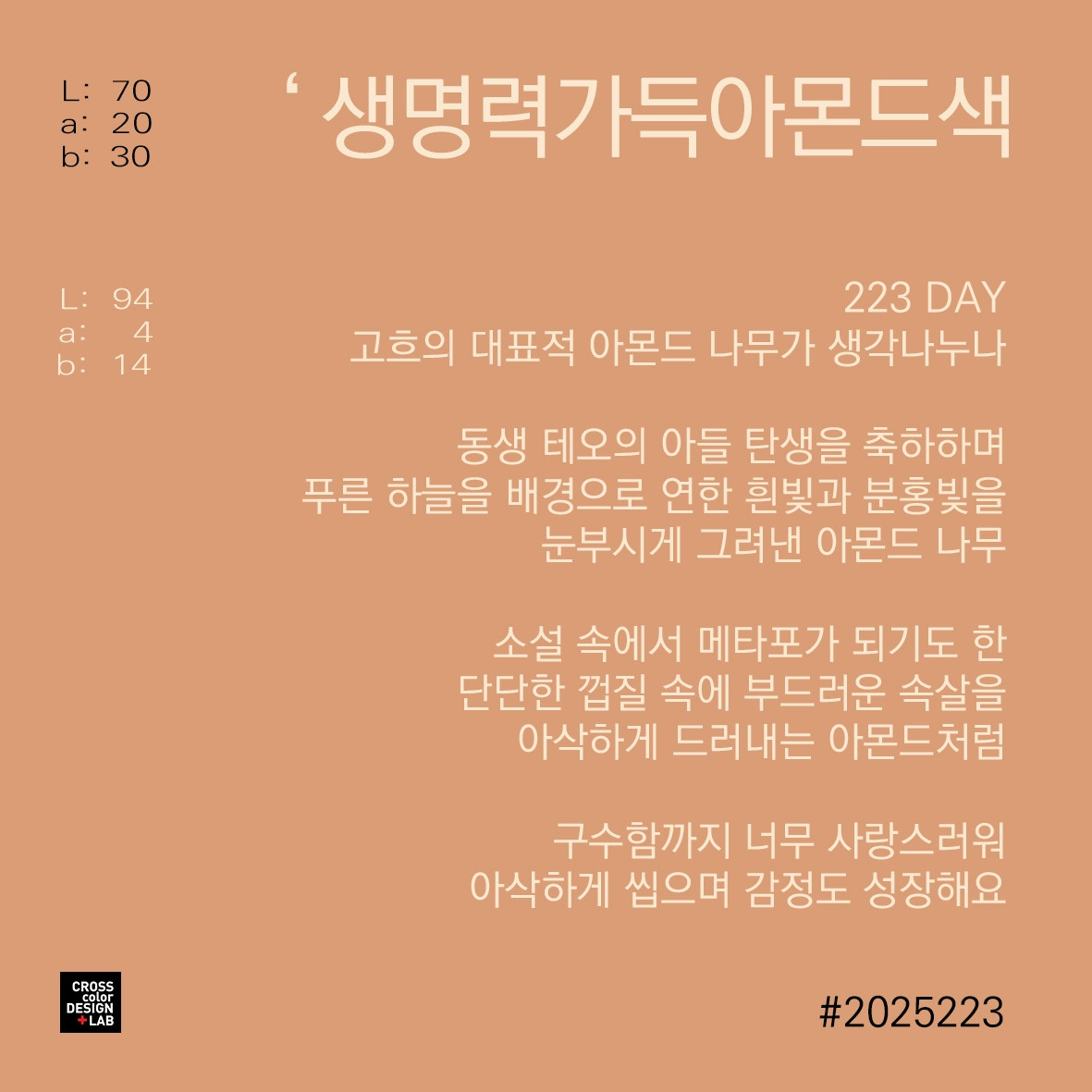 카지노 쿠폰