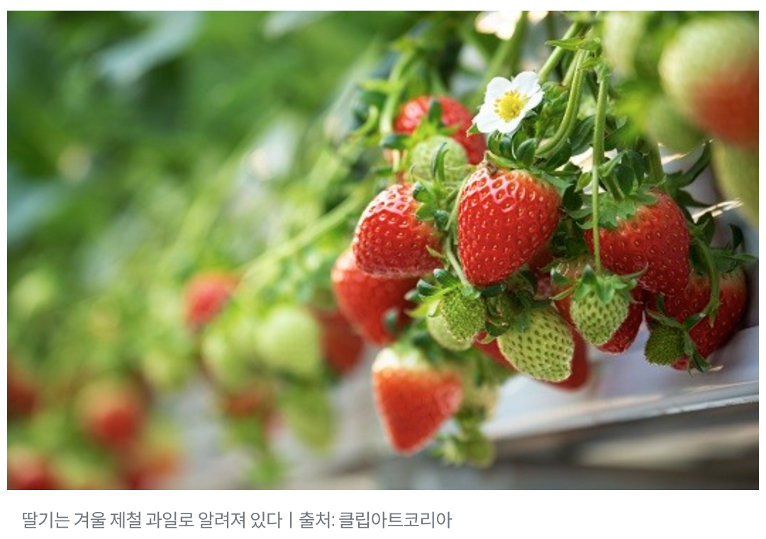 카지노 게임