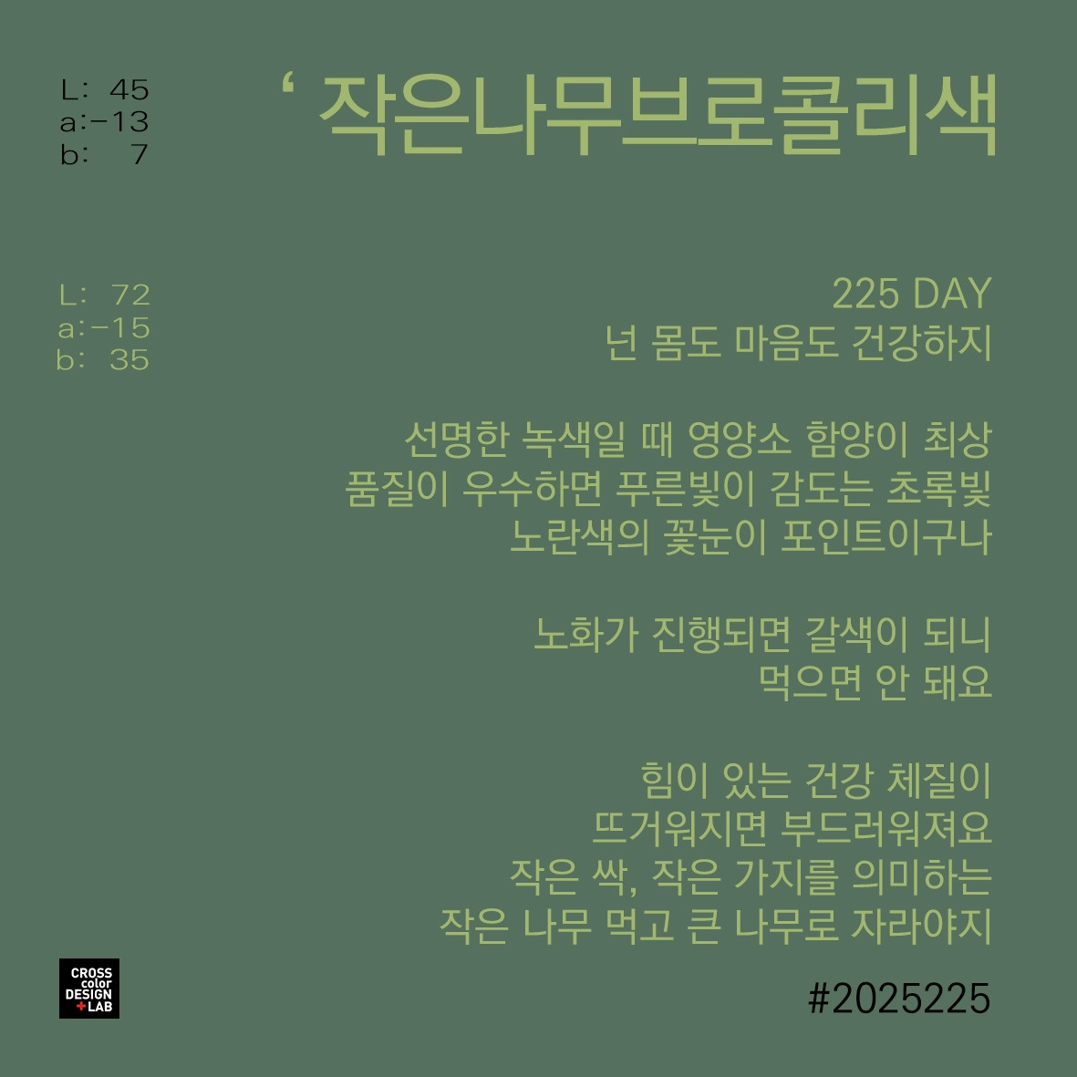온라인 카지노 게임