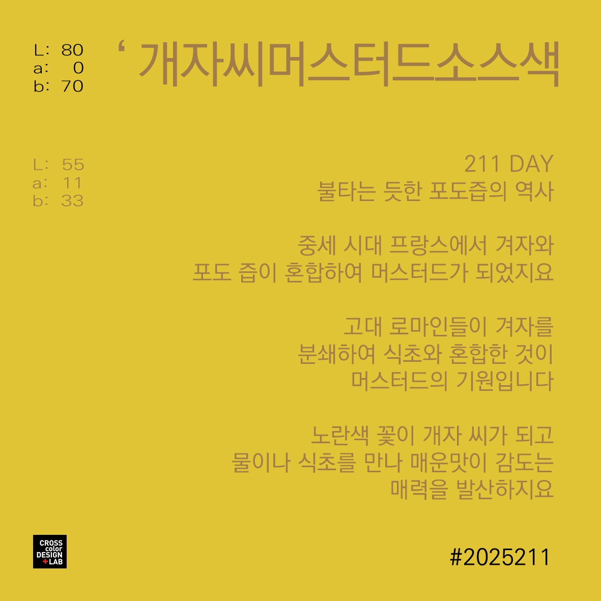 카지노 쿠폰