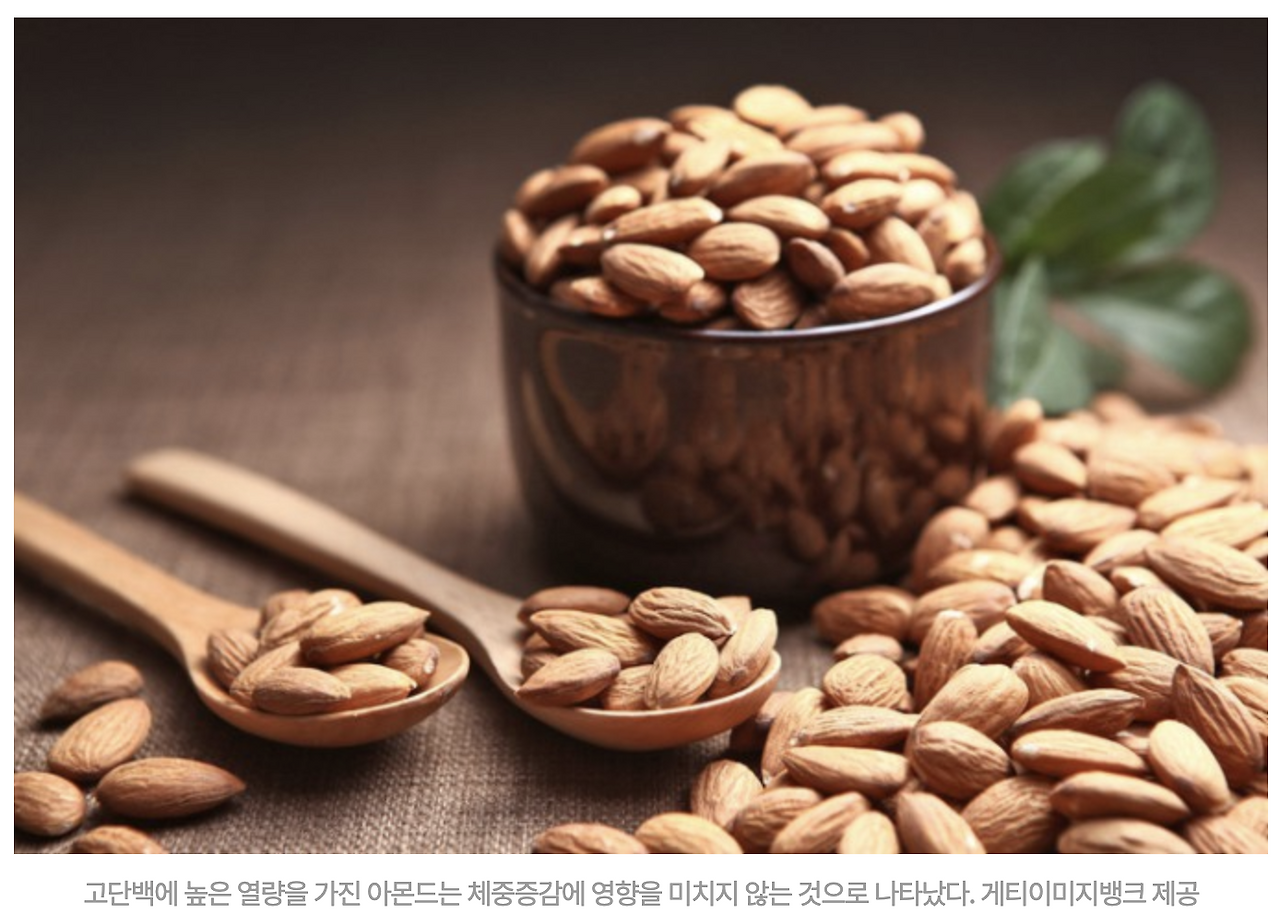 카지노 쿠폰