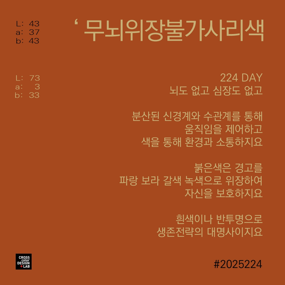 온라인 카지노 게임