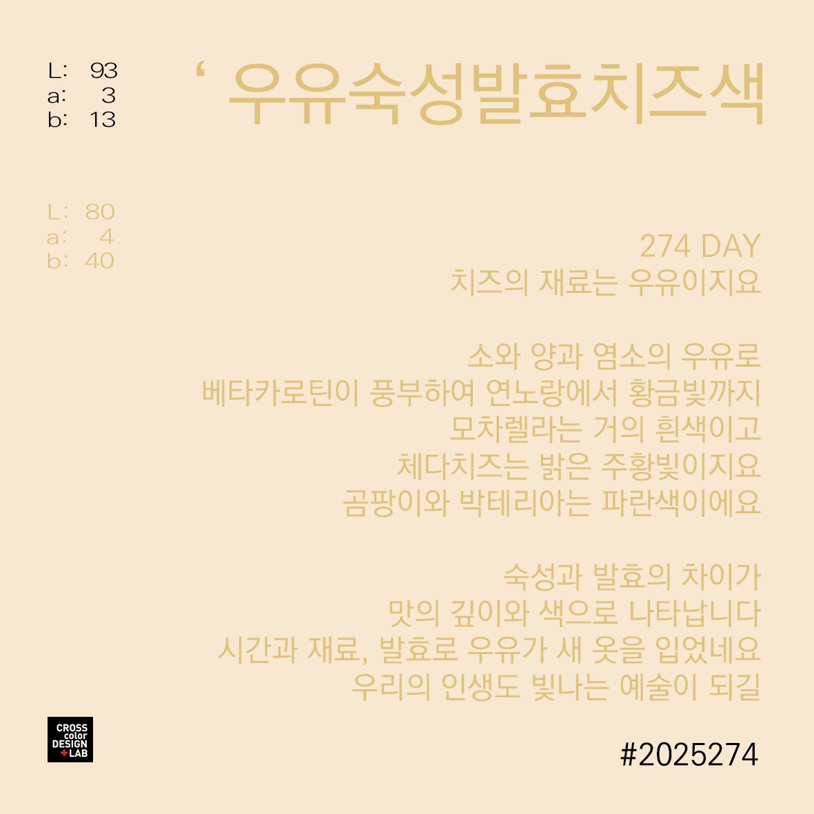카지노 게임