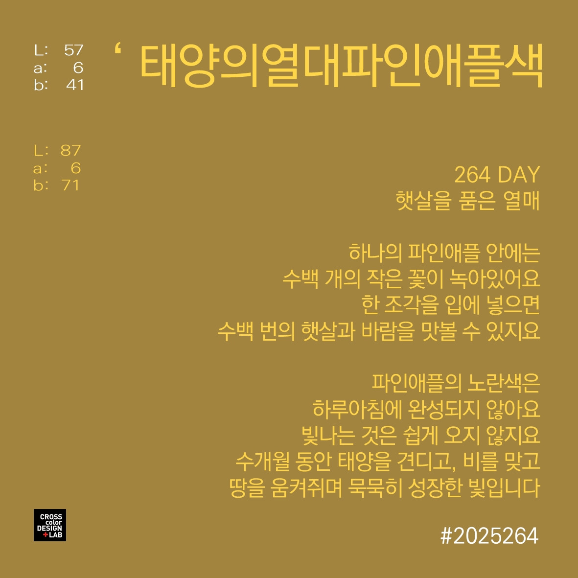 무료 카지노 게임