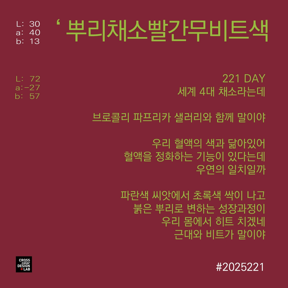 카지노 게임