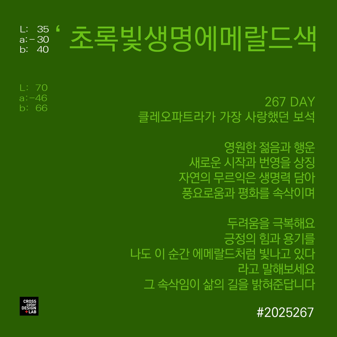 카지노 게임