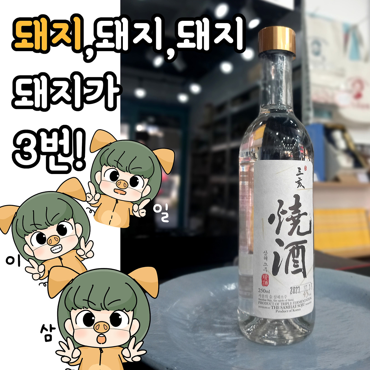 돼지,돼지,돼지! 돼지가 3번