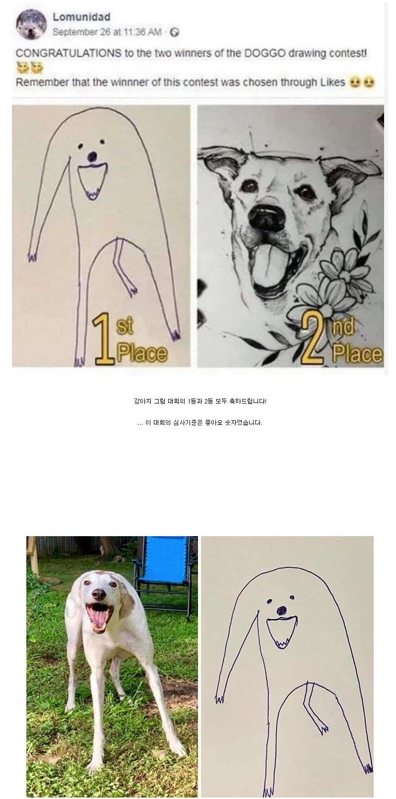 카지노 게임