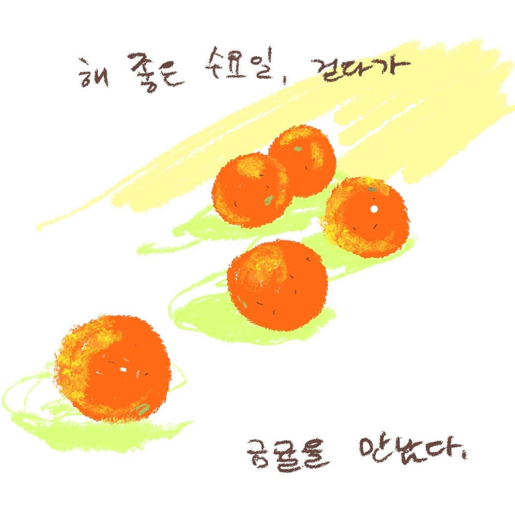 카지노 쿠폰