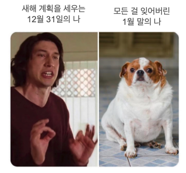 바카라 고정 배팅