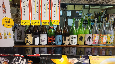 코치현의 지자케들