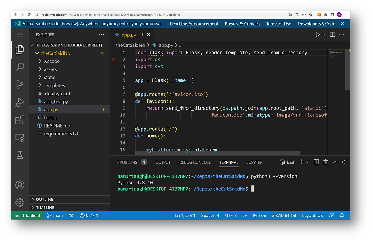 vscode-server