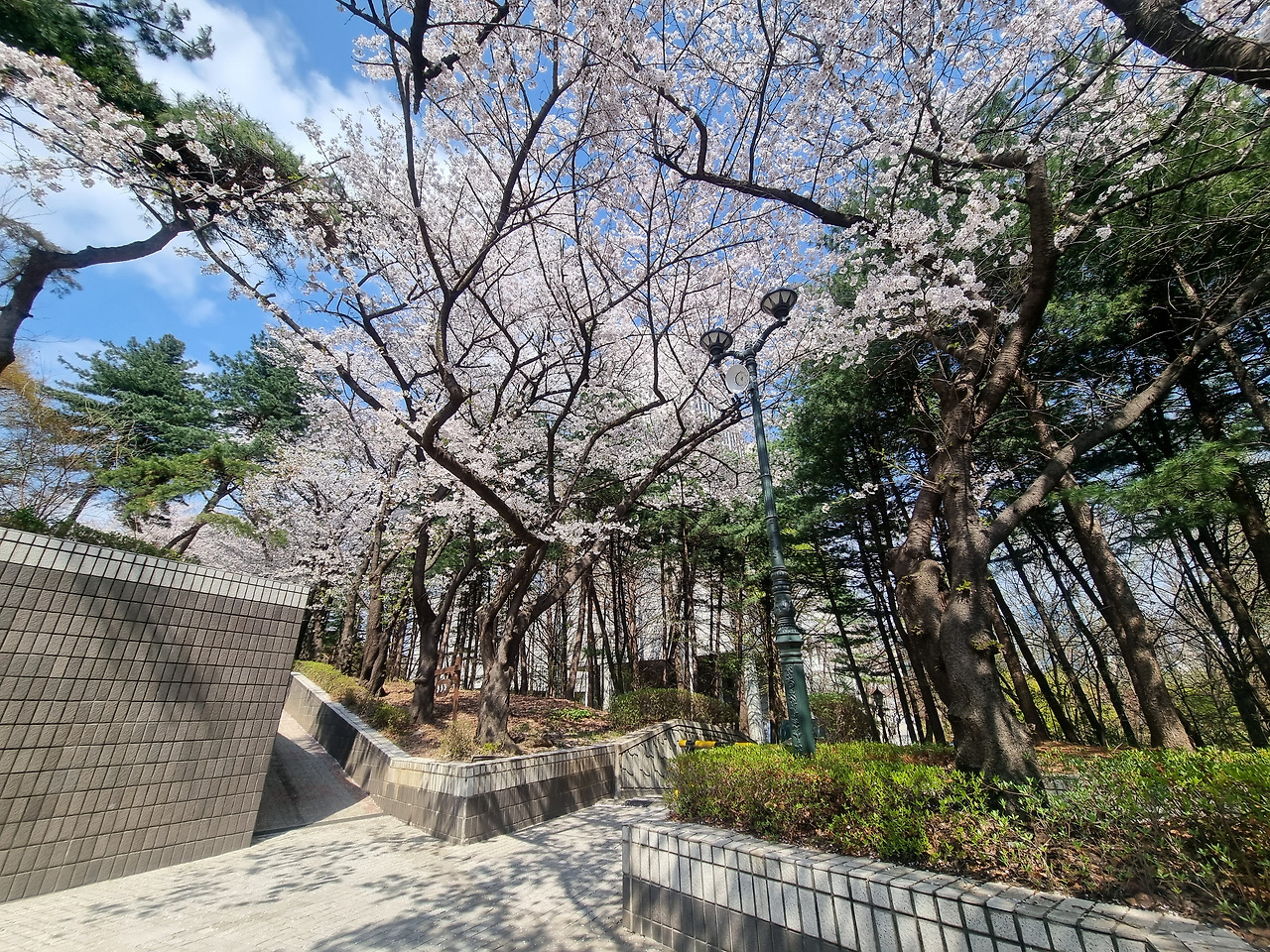카지노 가입 쿠폰