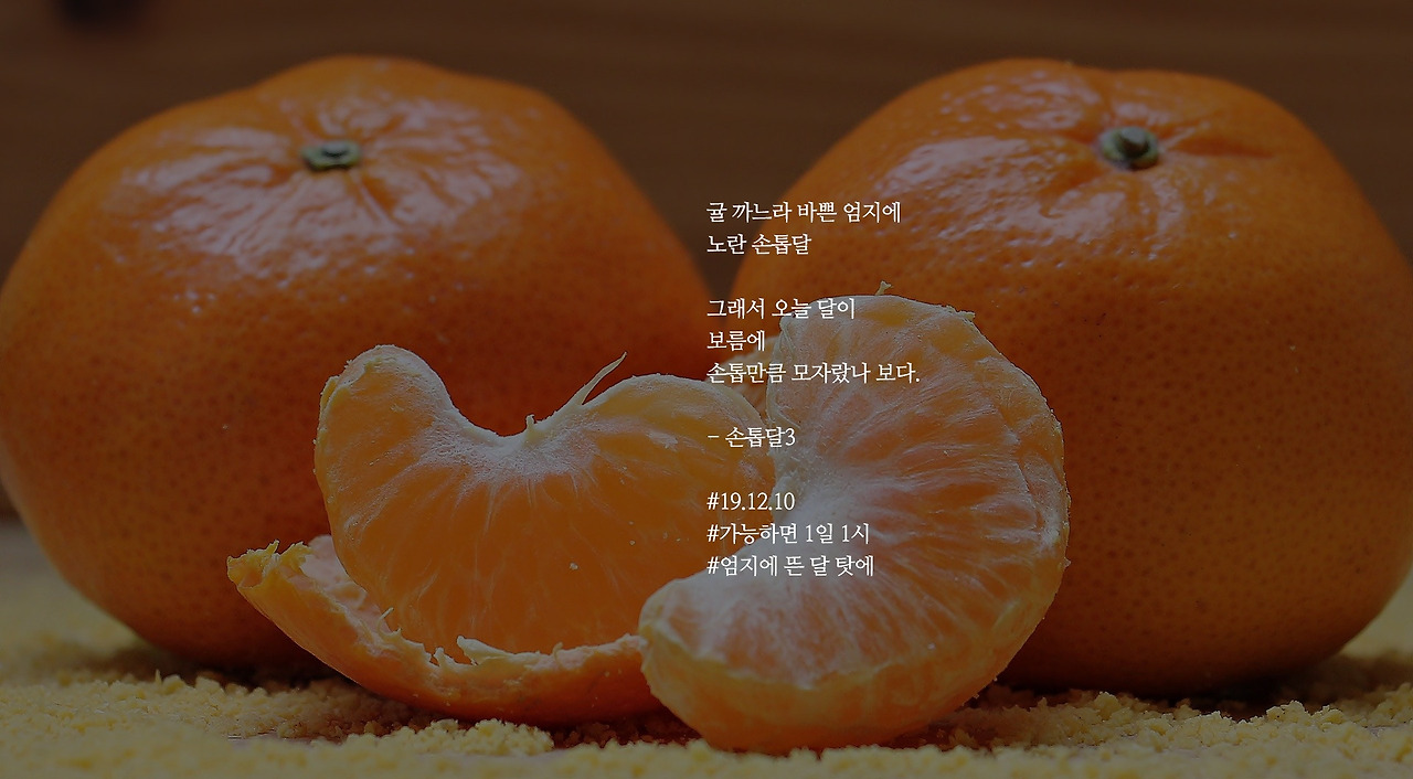 [가능하면 1일 1시] 손톱달3