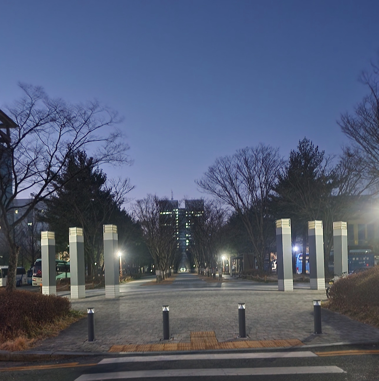 카지노 쿠폰