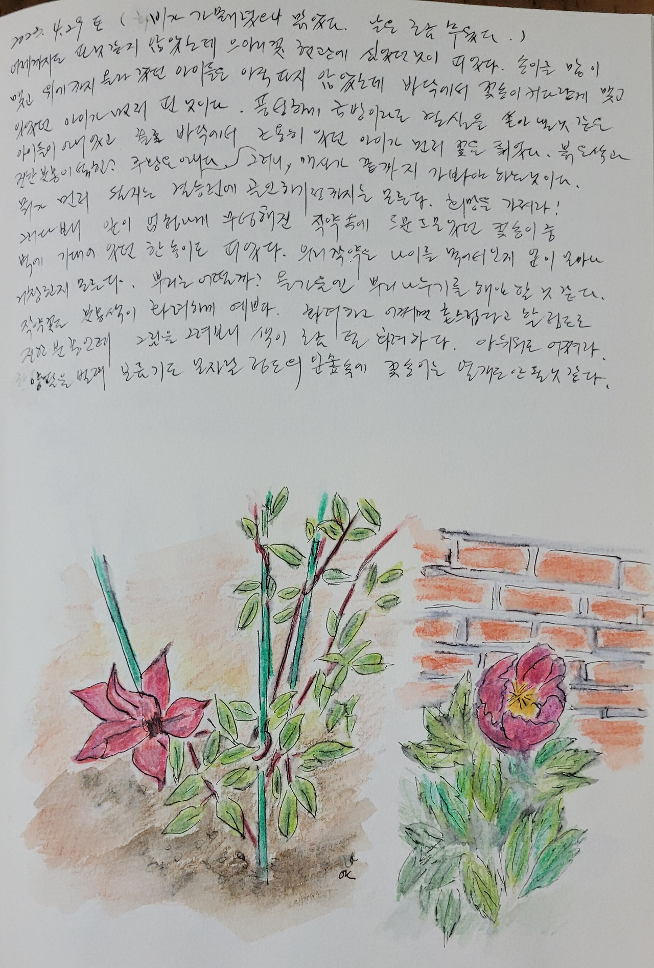 정원 가꾸기 마음 가꾸기 그림일기 47화