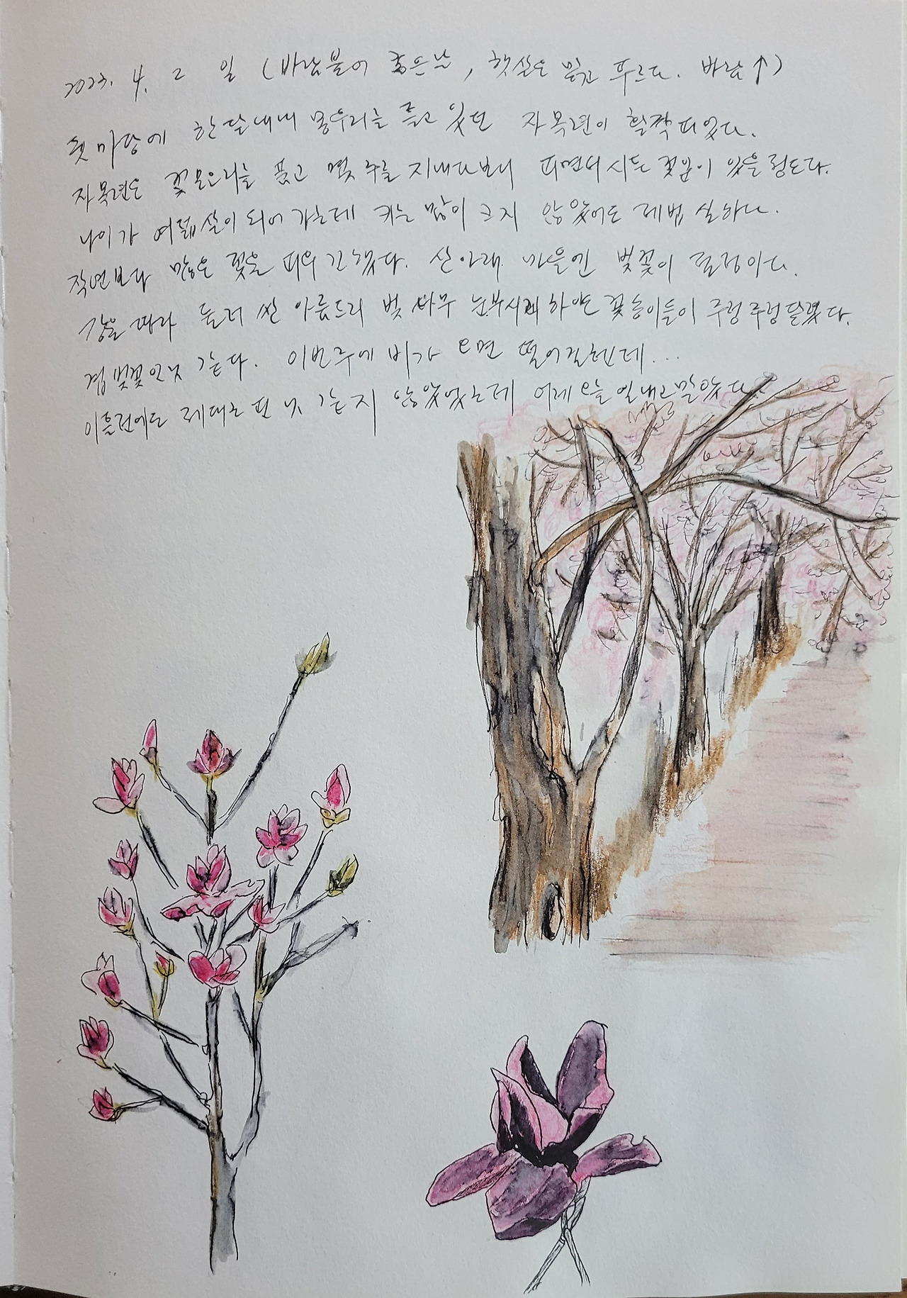 정원 가꾸기 마음 가꾸기 그림일지 21화