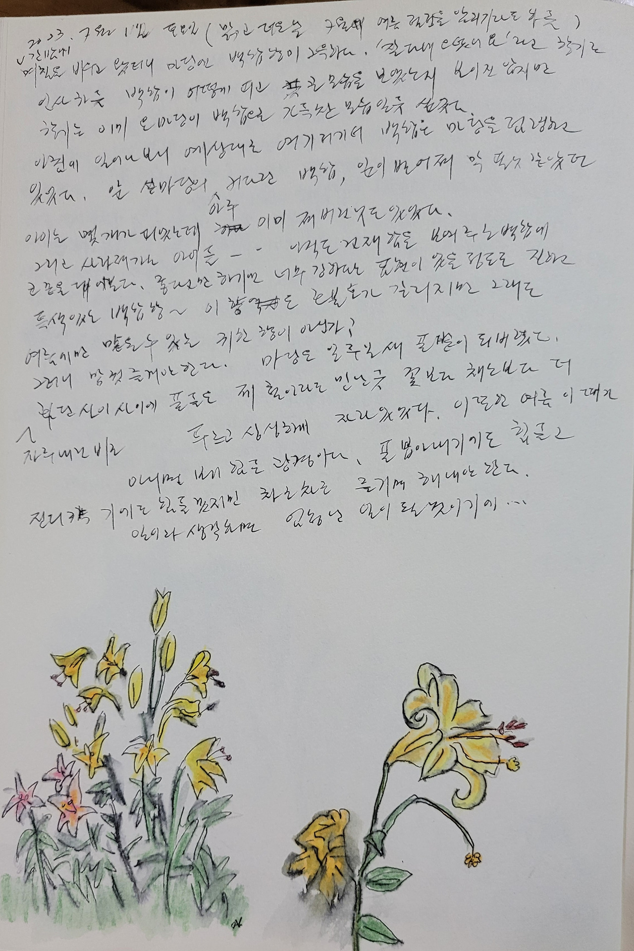 정원 가꾸기 마음 가꾸기 그림일기 85화