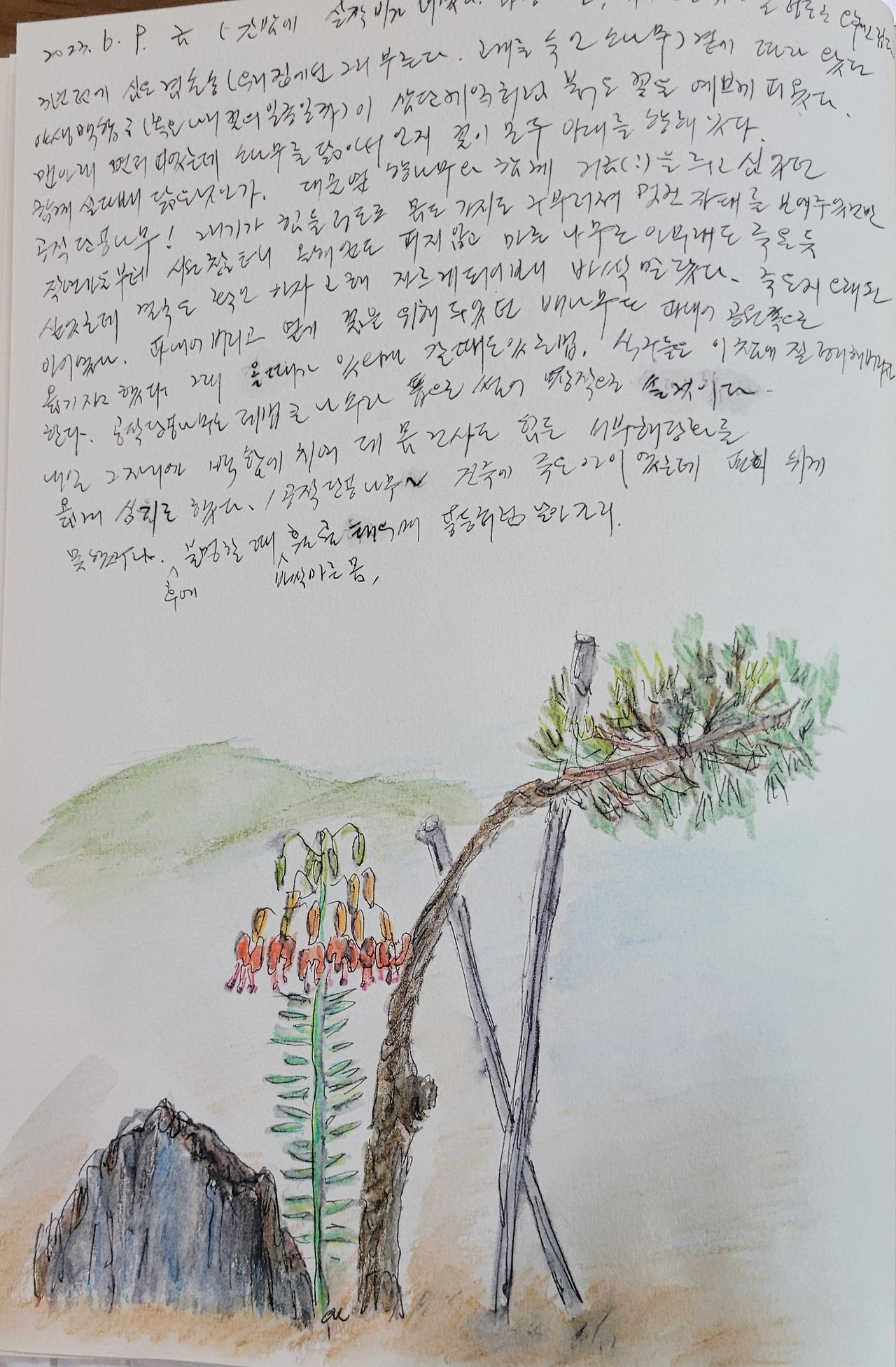 정원 가꾸기 마음 가꾸기 그림일기 77화