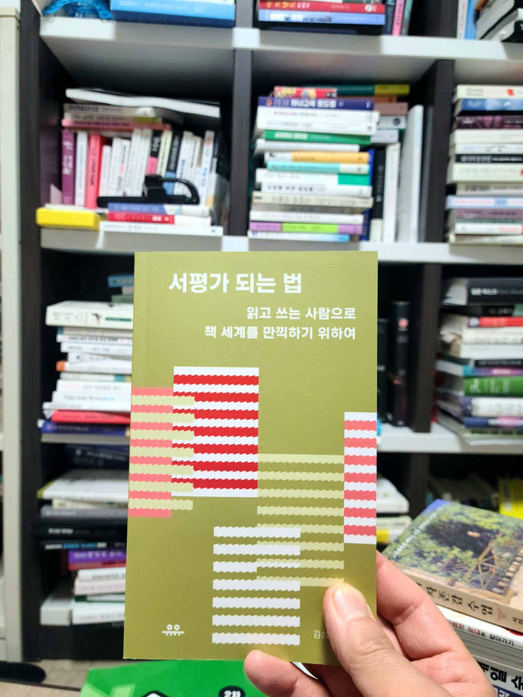 카지노 게임 추천