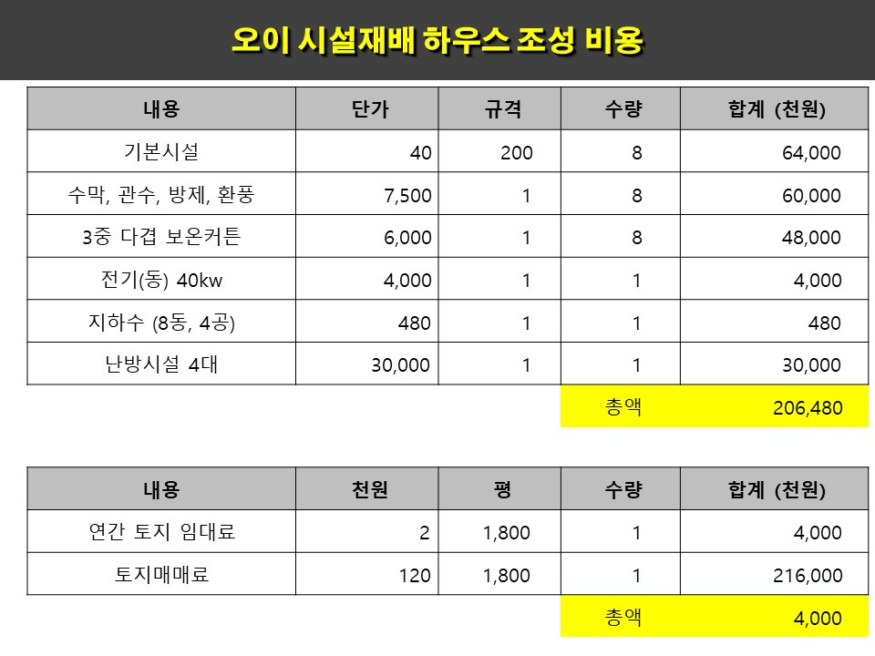 무료 카지노 게임