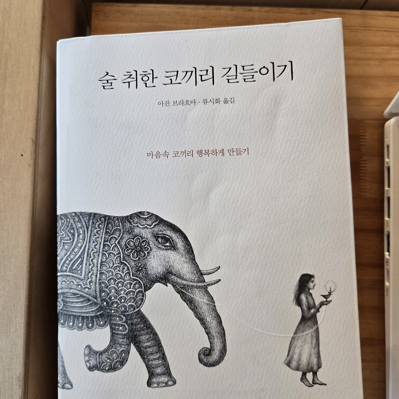 카지노 게임 추천