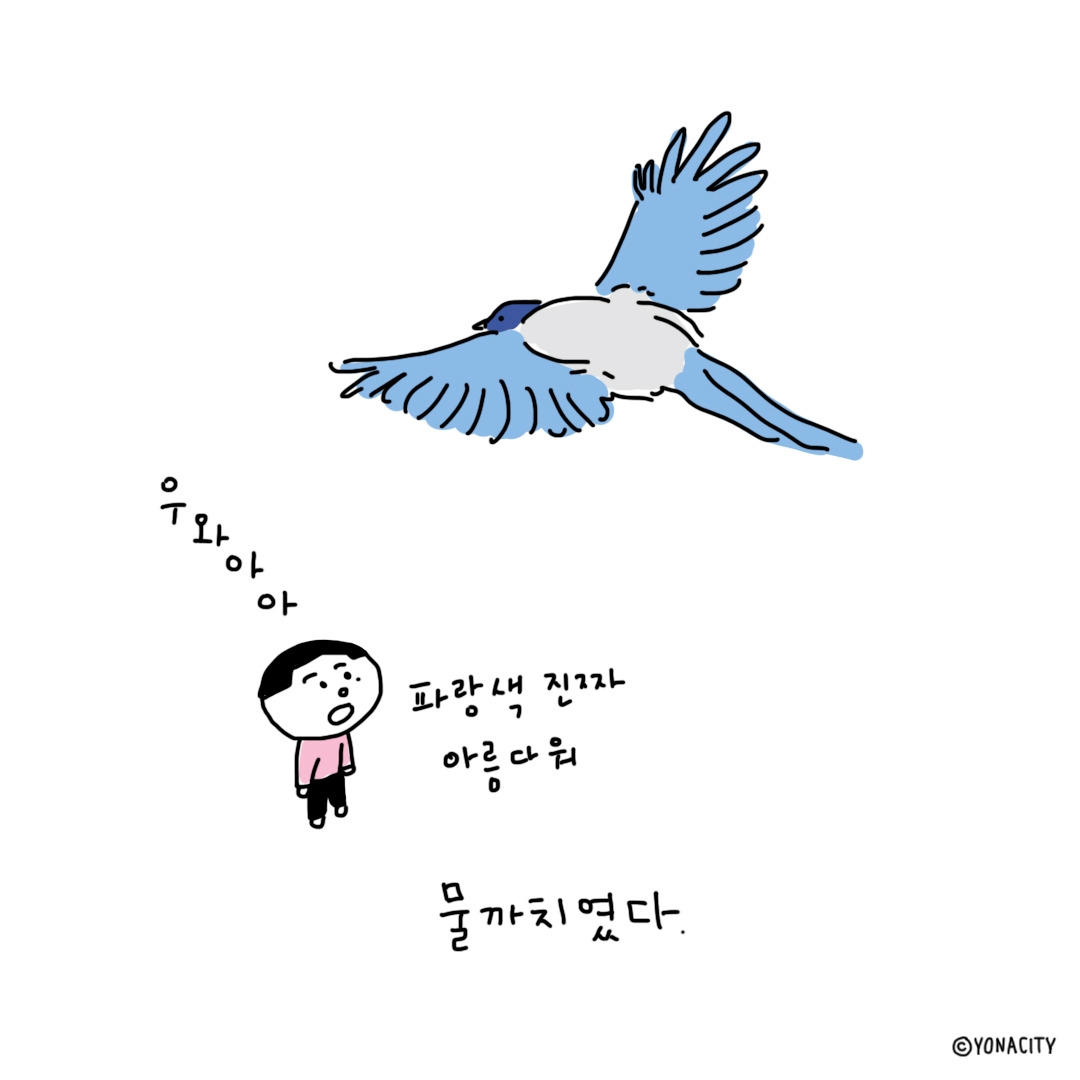 소소한 취미