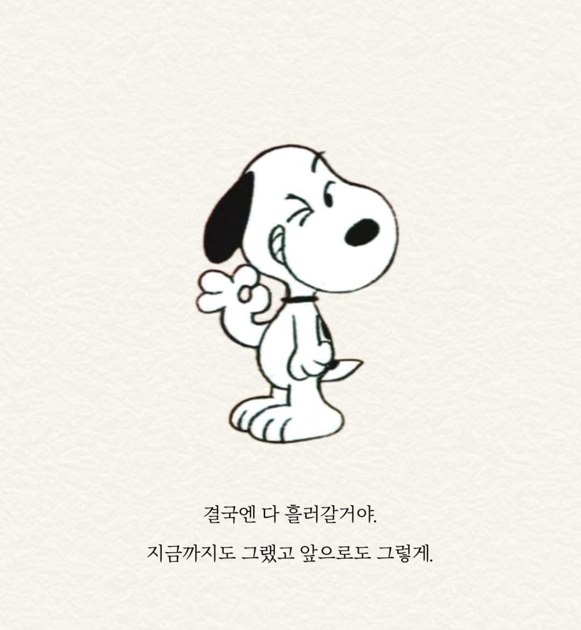 카지노 쿠폰
