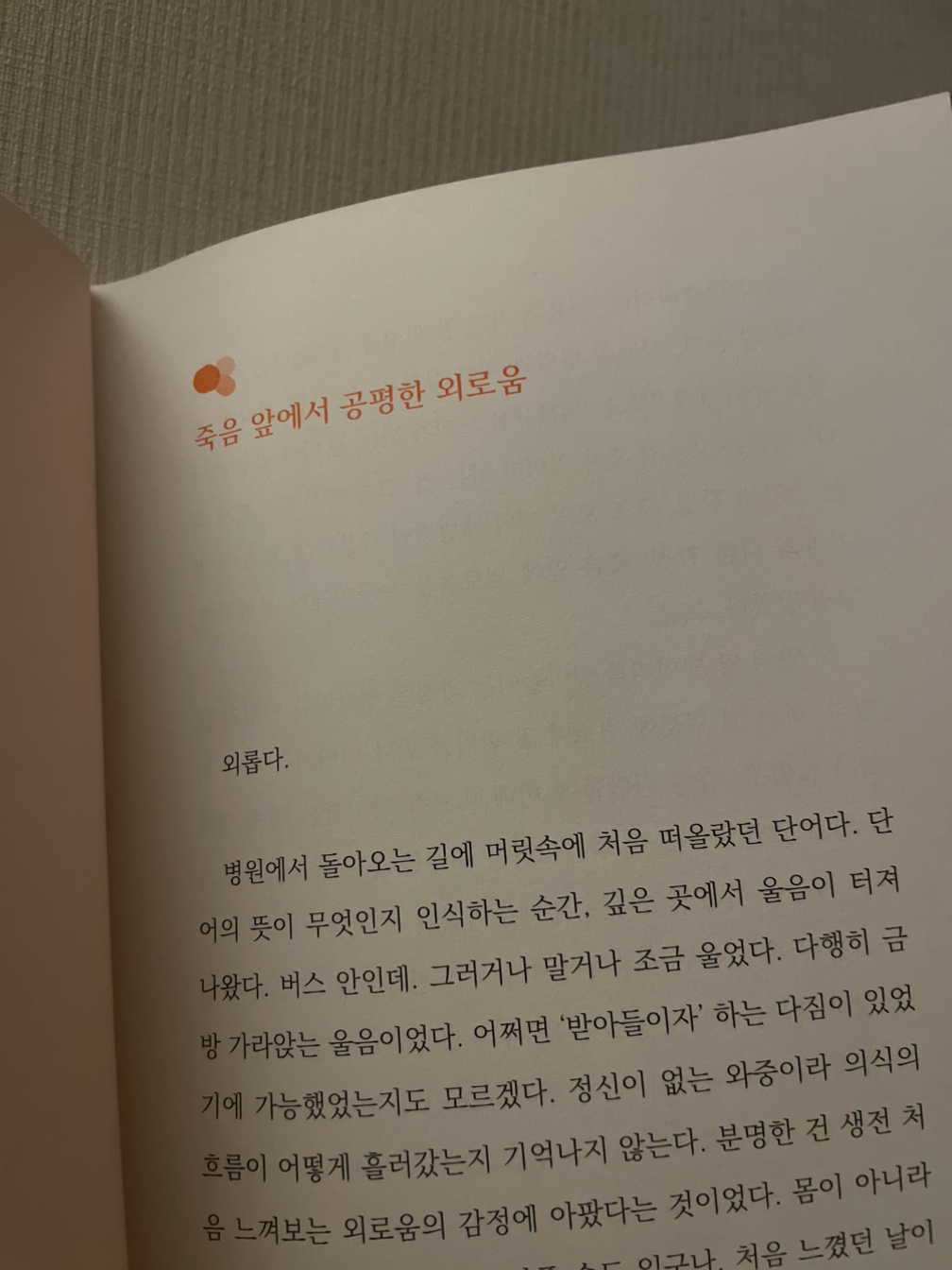무료 카지노 게임