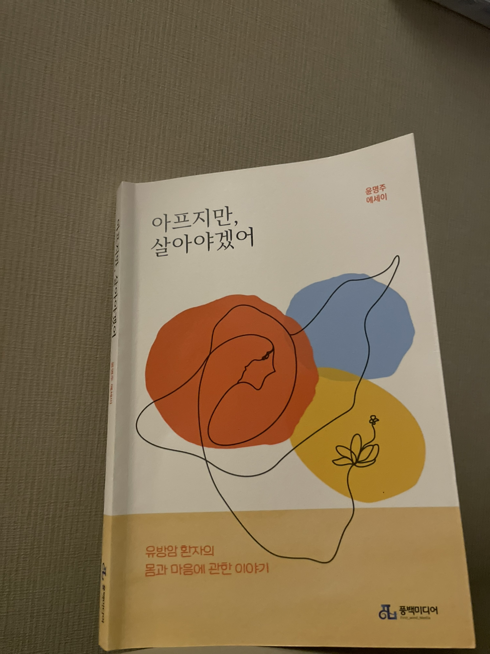 무료 카지노 게임