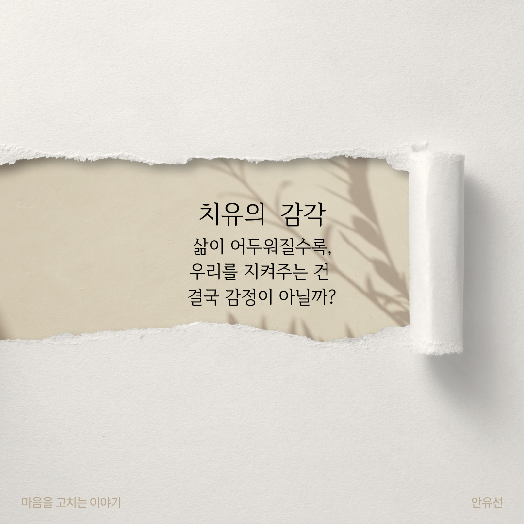 카지노 게임 사이트