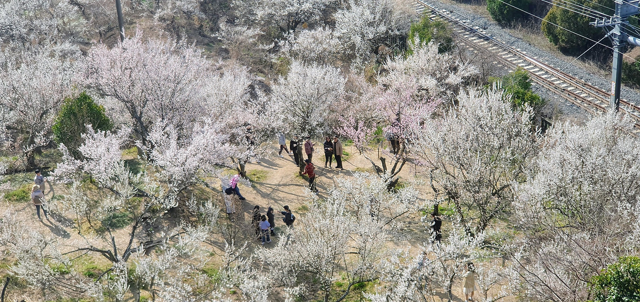 카지노 게임 사이트
